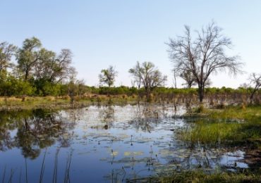 Maun-okavango-delta